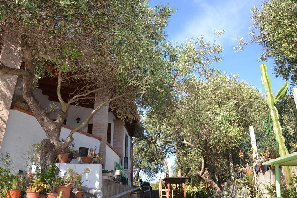 Mi Casa Es Tu Casa 79 Bed & Breakfast Portoscuso Exterior photo
